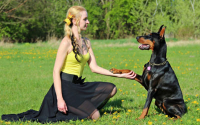 Would You be Able to Pass a Petting Consent Test?