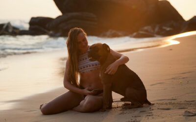 What are dog manners?