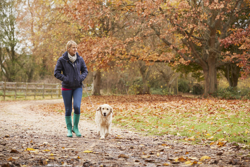 8 Unexpected Autumn Hazards Your Dog Needs You to Know About