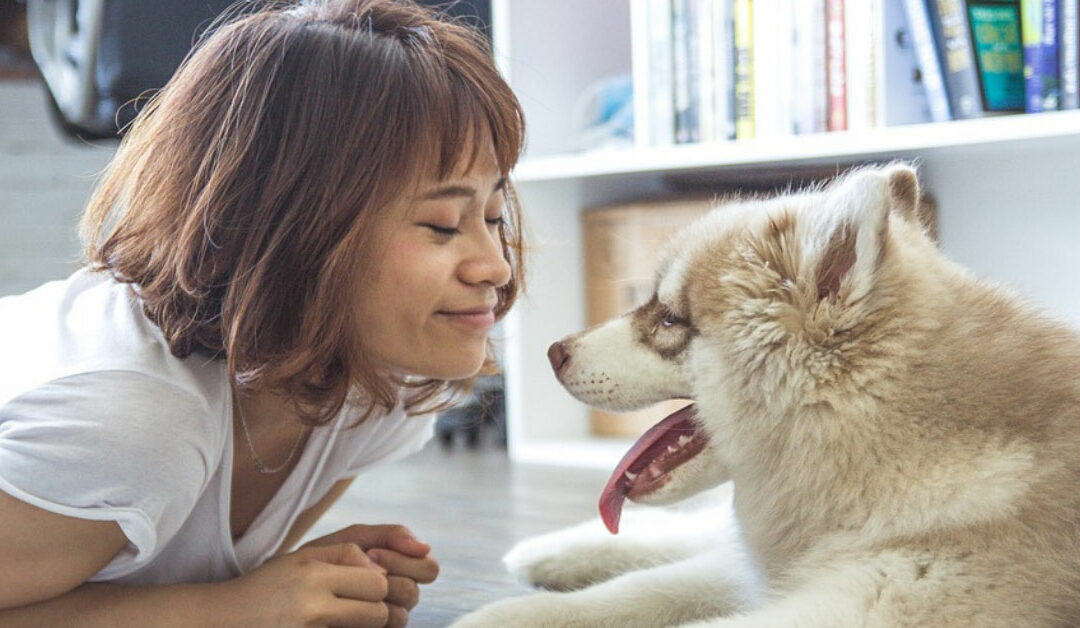 Dog People Live Longer. But Why?